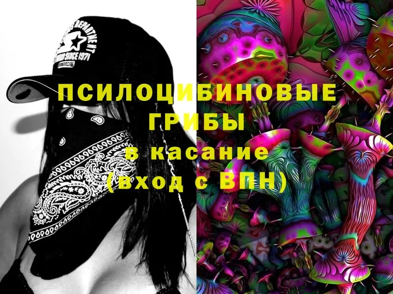 дарк нет как зайти  Гудермес  Галлюциногенные грибы Magic Shrooms  OMG онион 